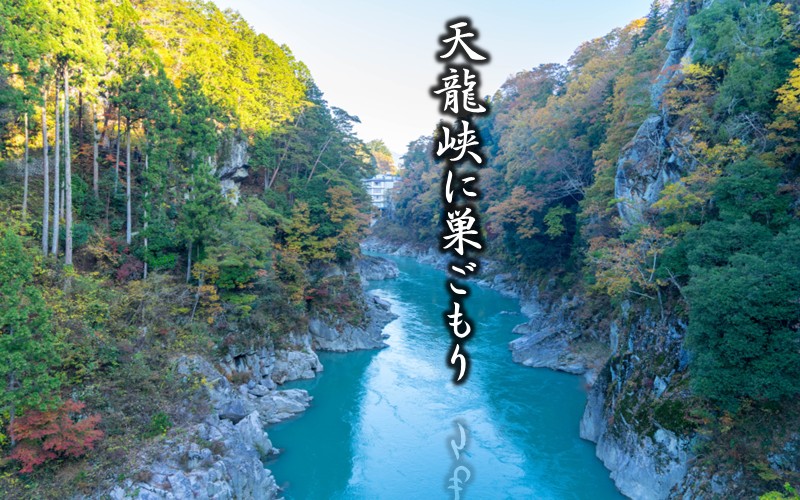 移転オープン！